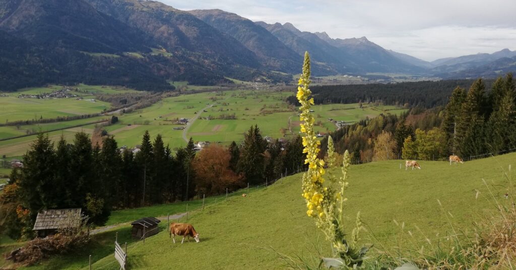 Panoramawanderung und Spielplatzer&ouml;ffnung