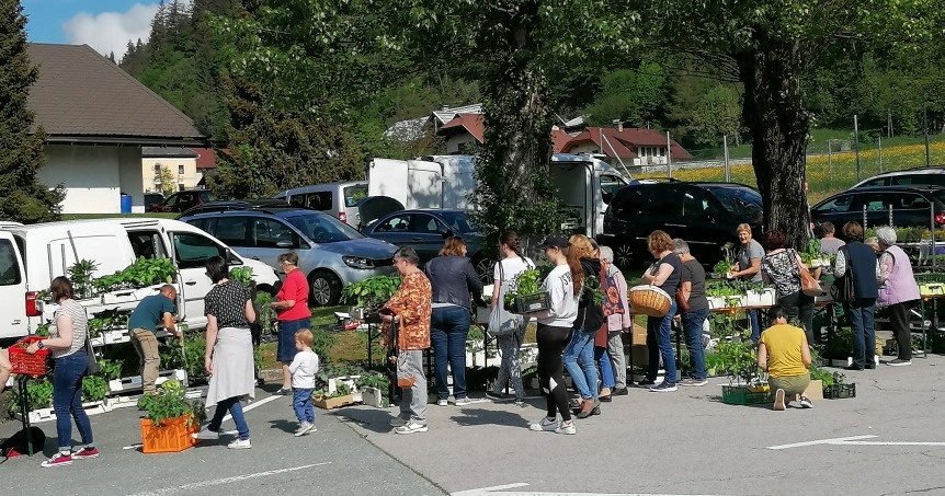 Pflanzen- und Kinderflohmarkt in der Marktgemeinde Kirchbach